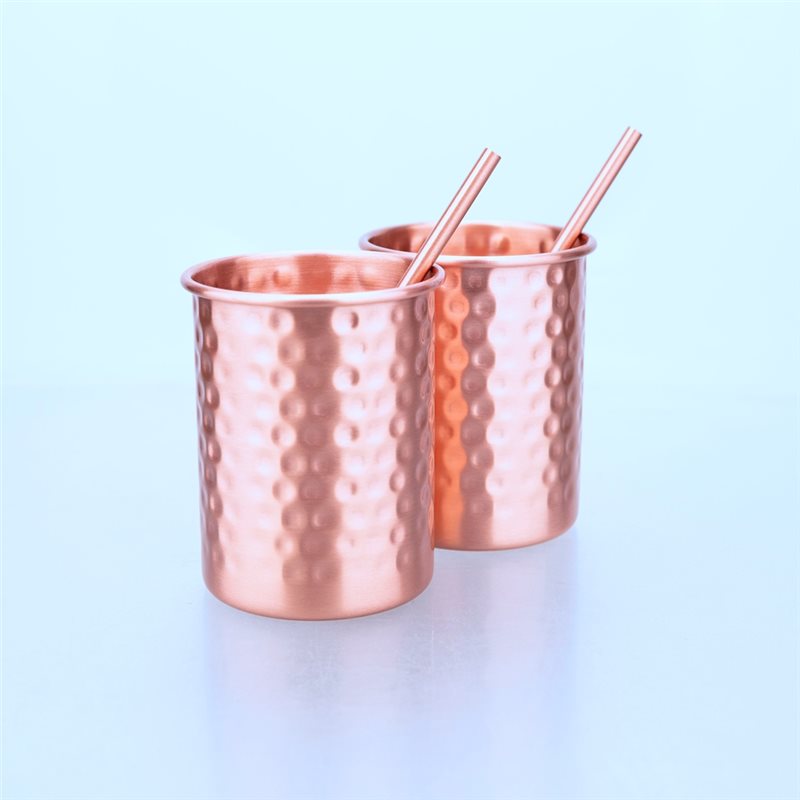 ABLU-2PC 400Ml Copper Color St - Copper Cocktail Mug 评论和价格